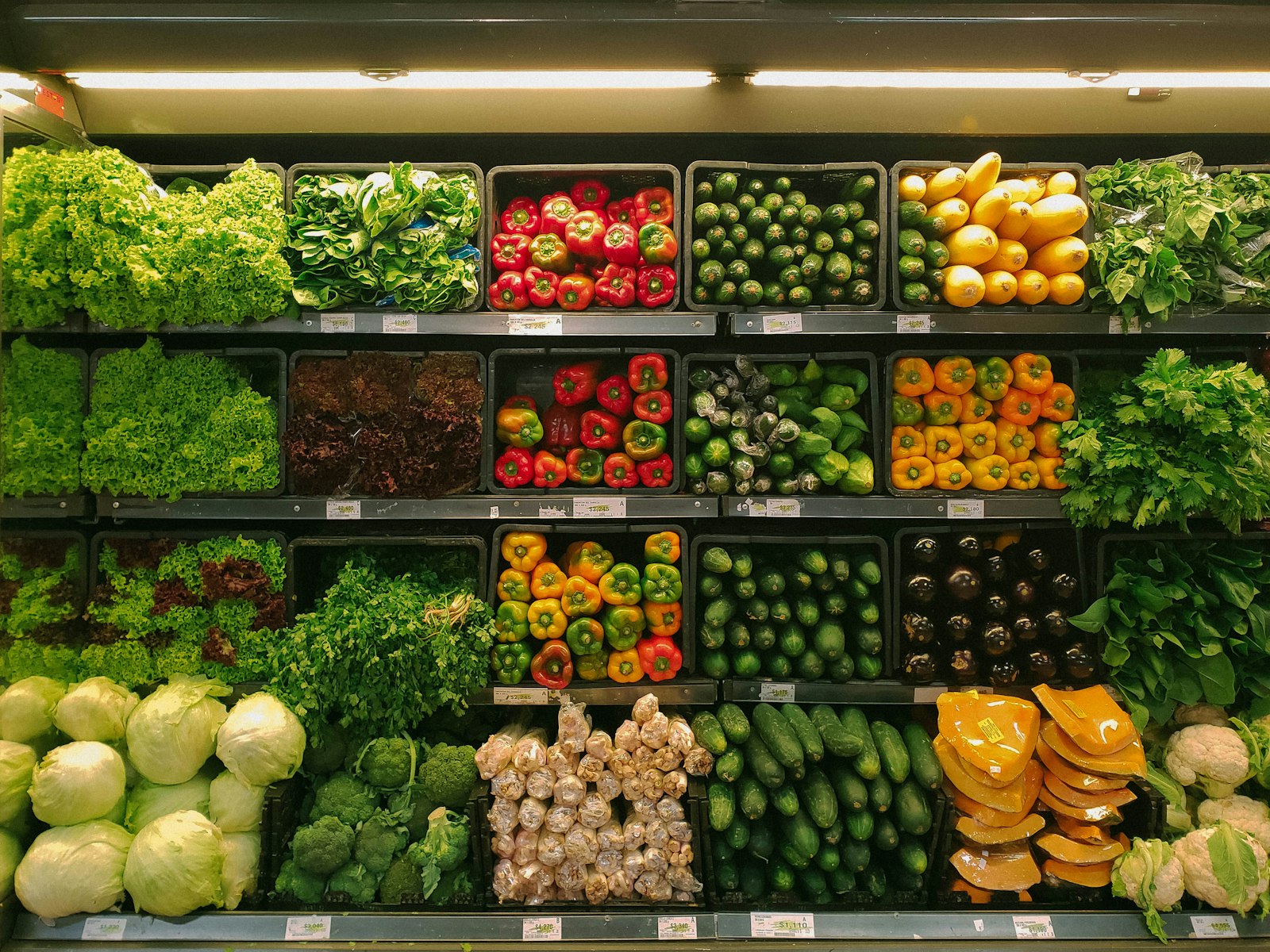 Verduras frescas seleccionadas